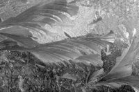 P0309481.jpg