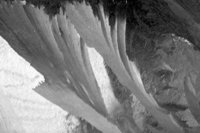 P0309454.jpg