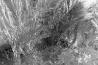 P0309447.jpg