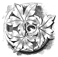 254610.jpg