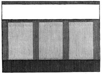 254502.jpg