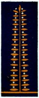 251502.jpg