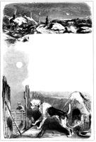 188622.jpg