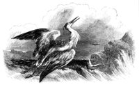 188612.jpg
