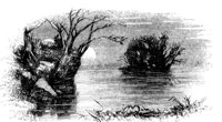 188598.jpg