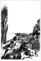 188572.jpg