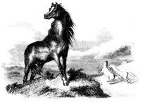 188516.jpg