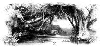 188510.jpg