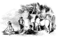 188498.jpg