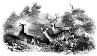 188496.jpg