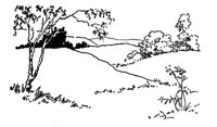 97054.jpg