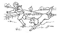 97046.jpg