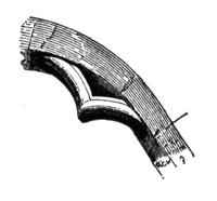 809777.jpg