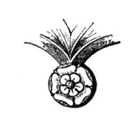 809769.jpg