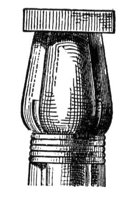 809509.jpg