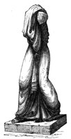 788431.jpg