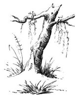 788405.jpg