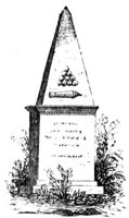 788305.jpg