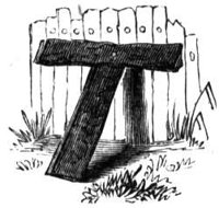 788195.jpg