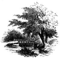 788191.jpg