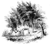 788005.jpg