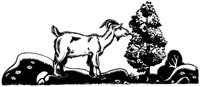 690267.jpg