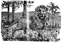 688083.jpg