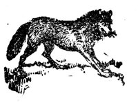 688051.jpg