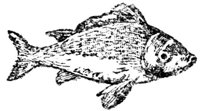 688041.jpg