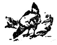 688033.jpg