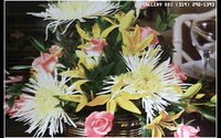 FLWRS22.GIF