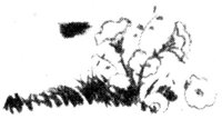 680485.jpg