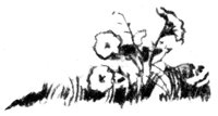 680483.jpg