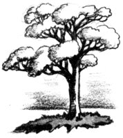 680467.jpg