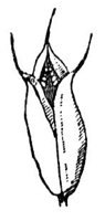 661049.jpg