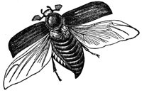 661023.jpg