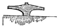 660951.jpg