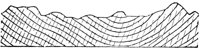 660949.jpg