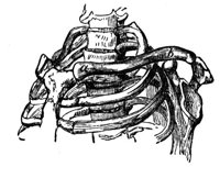 660945.jpg