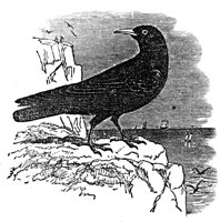 660871.jpg
