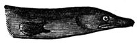 660841.jpg