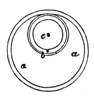 660811.jpg