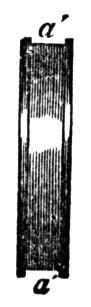 660807.jpg