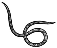 660785.jpg