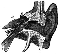 660767.jpg