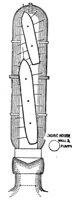 660649.jpg
