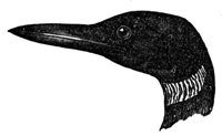 660641.jpg