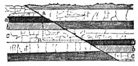 660635.jpg
