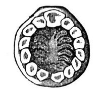660629.jpg