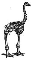 660605.jpg